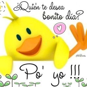 Meet your Posher, Berta